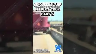 Southeast Queensland Feedlot Tour Part 3