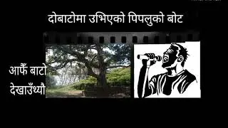 दाे वाटाेमा उभिएकाे पिपलुकाे वाेट --- केदार न्यौपाने