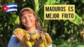 🔴 &iquest;Los pl&aacute;tanos MADURO son mejor fritos? 🔴 #campesina #maduro #cuba #agricultura #farmers 