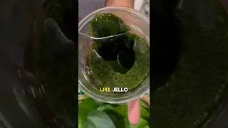 SO REFRESHING. HERBAL. JELLO. LEAF. GARDEN. YUM! #homemade #herbaljelly