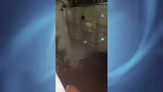 srv incendio sul nilo crociera 29 10 25