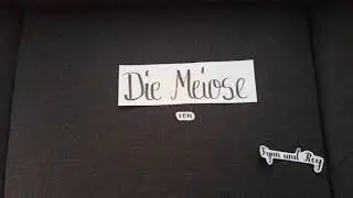 Meiose Stop Motion