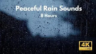 ☔️ NO ADS! 8 Hours of Rain sounds! White noise for mindfulness, sleeping, relaxing, & studying ☔️