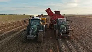 Arrachage de pomme de terre 🥔 2025 #pommesdeterre #fendt 