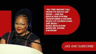 Why Education Reform Must Start at the Roots | Siviwe Gwarube