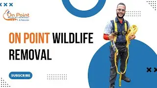 On Point Wildlife Removal -  Humane Wildlife Trapping Melbourne,  US | Attic Bat Removal Experts