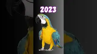 2023 Macaw vs 5000 bce Macaw