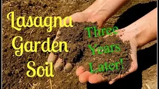 Lasagna Garden Soil~3 Years Later!