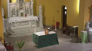 St. Dominic Roman Catholic Church Live Stream