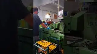 10 Years China Stepper Motor And Brushless Dc Motors Factory Manufacturer #cnc #motors #factorytour