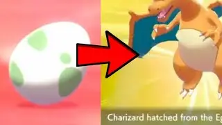 Lv. 1 Charizard Glitch! Hatch Evolved Forms in Pokemon Sword and Shield