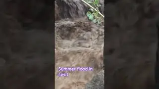 Flood in swat#floodinpakista #flood 2023#flooding #floodaler