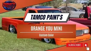 Tamco Paint's Custom Color - Orange You Mini