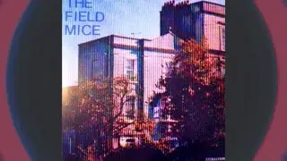 The Field Mice- John Peel Session (1990)