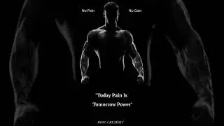 Gym Status Bgm...| No Pain 🖤 No Gain...| DOLU CREATION