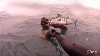 Pesca sub : Catture estive con Mares Cyrano Evo hf 110  kit Stc