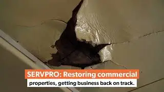 When property damage brings your business to a stop, SERVPRO&reg; is here to get you back on track