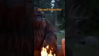 Squatchy - Vlogs Smelly Hippie! #funny #comedy #wildlife #comedyfilms #comedymovies #funnycomedy