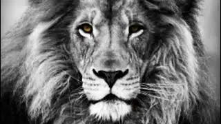 Great Bethany Church (Shabbat Service 10/23/2021) Pastor Jeffrey McLemore