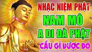 Nhạc Niệm Phật Bình An - Nghe Nhạc Phật - Âm Thanh Thanh Tịnh Giúp Xua Tan Lo Toan, Mệt Mỏi p2