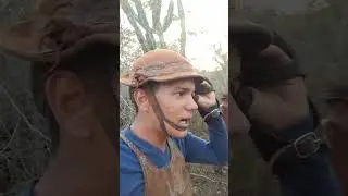 verso de gado ,do vaqueiro kaio do Gib&atilde;o logo ap&oacute;s deixar um boi amarrado