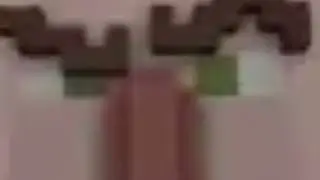 Hyperbaiter - there is a rock but villager voice cover