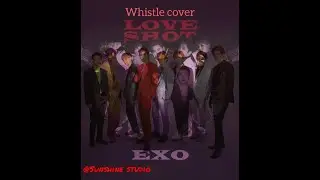 EXO Love shot Whistle cover | Sunshine studio