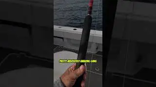 Рыбалка на полосатого тунца в открытом море!