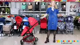 Прогулочная коляска Lorelli Sport в БананаБэби