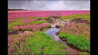 TOP 10 PLACES TO VISIT IN SATARA | THINGS TO DO IN SATARA | INDIAN BEAUTY STATION