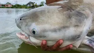 THIS WAS SO UNEXPECTED | Thailand fishing | fishing vlogs |fishing adventures | Thailand adventures