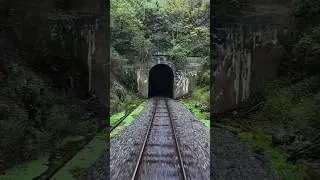 Virginia Scenic Railway