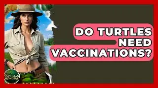 Do Turtles Need Vaccinations? - Reptilian Wonders