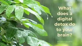 Mini Digital Detox - What a 2‑Minute Tech Detox Actually Does to Your Brain |