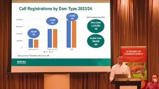 Global Beef Market Outlook with Seamus McMenamin | Irish Hereford Prime