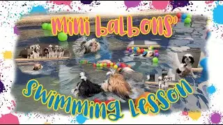 SWIMMING LESSON | MINI BALBONS