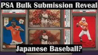 PSA Bulk Submission Reveal | Why Japanese Baseball Cards? | January 2024