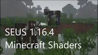 SEUS 1.16.4 Optifine Shaders | Minecraft 1.16.4