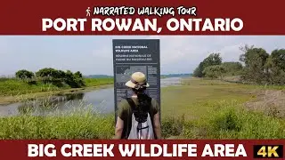🚶&zwj;♂Port Rowan, Ontario - Big Creek National Wildlife Area 🌿4K Walk