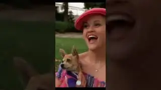 Мой питомец #chihua #chihuahua #dogs #pets #собака #чихуахуа