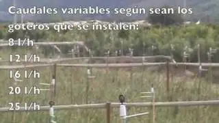 Control Heladas  con PULSADOR en Arándanos