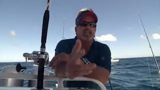 Red Grouper with Capt. Will Geraghty and Capt. Billy Nobles out of St. Petersburg Florida