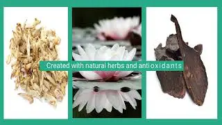 Reduce Shedding Naturally 🐾 Lotus & White Tea Deshedding Shampoo