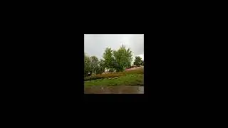 lewus - nie martw się