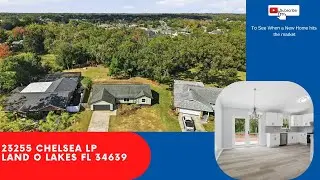 23255 Chelsea LP Land O Lakes FL 34639