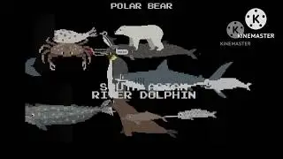 Animals under the sea book versions 1-10 stampede - @TheKidsPictureShow 