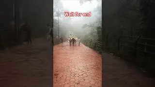 hill station matheran #nature #enjoylife #viral #ytshortsvideo #trending #the nature naman