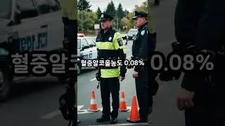 음주운전 2025달라진 동영상