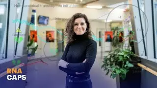 Research from IOCB Prague reveals a previously unknown mechanism of genetic transcription