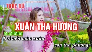 Xuân Tha Hương Karaoke Tone Nữ - Nhạc Tết HAY NHẤT - Hoàng Dũng Karaoke